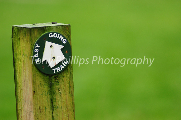 Easy Going Trail, Shirebrook Valley, Woodhouse, Sheffield
