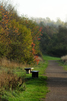 Shirebrook Valley, Woodhouse, Sheffield