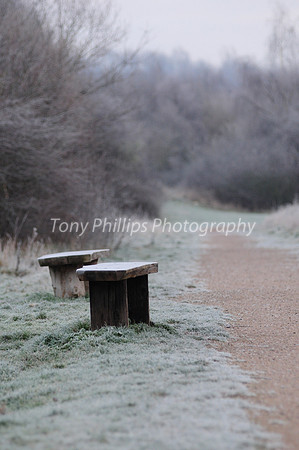 A Frosty Morning In Shire Brook Valley 2012