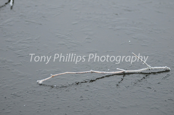 Frozen Ponds, Shire Brook Valley, Sheffield