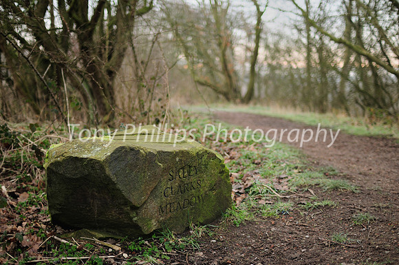 The Stone Marking Sally Clarks Meadow, Shire Brook Valley, Sheffield, UK