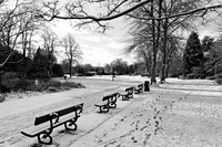 Valley Gardens In Harrogate, November 2010