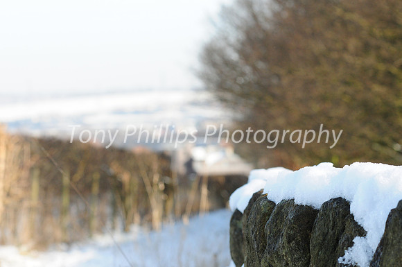 Shirtcliffe woods, Woodhouse, Sheffield S13