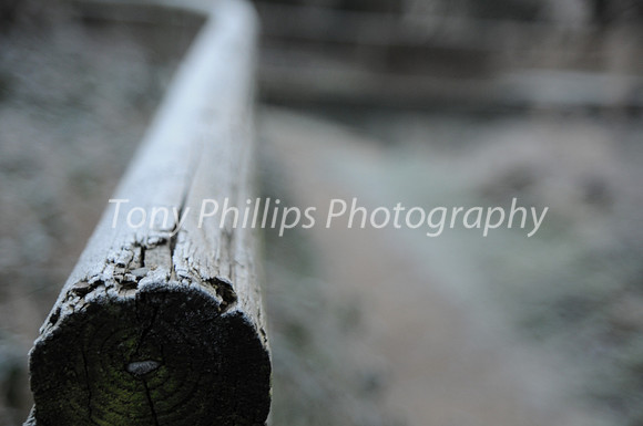 Shire Brook Valley, Sheffield
