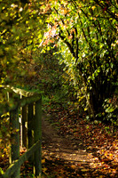 Shirebrook Valley, Woodhouse, Sheffield