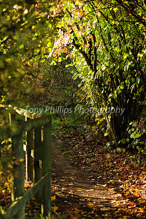 Shirebrook Valley, Woodhouse, Sheffield