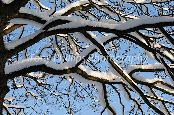 Blue Skies, Woodhouse, Sheffield 2010