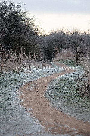 Shire Brook Valley, Sheffield