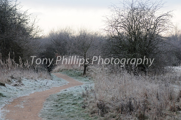 A Frosty Morning In Shire Brook Valley 2012