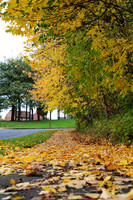 Beaverhill Road, Woodhouse, Sheffield