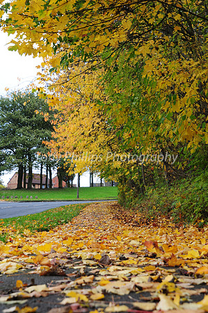 Beaverhill Road, Woodhouse, Sheffield