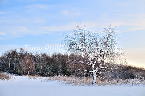 Snow In Shire Brook Valley 2012