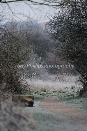Shire Brook Valley, Sheffield