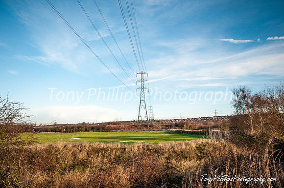 The View From Beighton Marsh