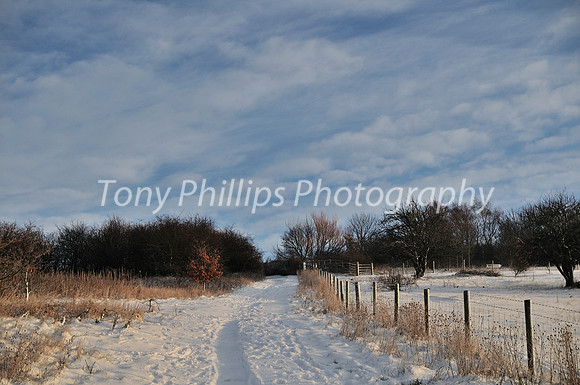 Snow In Shire Brook Valley 2012